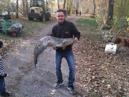 Abfischen 10.11.2018
