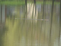 Anangeln 01.05.2005