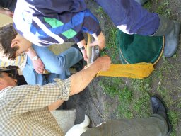 Anangeln 01.05.2005