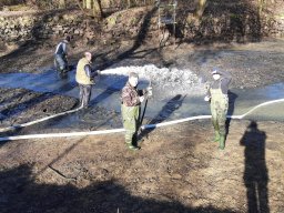 Arbeitsdienst 12.02.2022