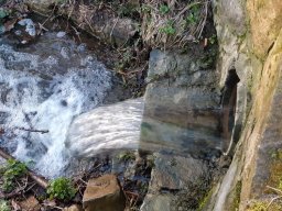 Ausweichquartier_Obersteinach_2020 &raquo; Ausweichquartier_Obersteinach_2020