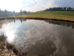Ausweichquartier Obersteinach 2020