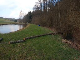 Ausweichquartier Obersteinach 2020