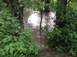 Entlandung Dorfsee 2019