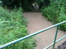 Entlandung Dorfsee 2019