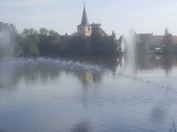 Entlandung Dorfsee 2019