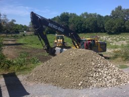 Entlandung Dorfsee 2019