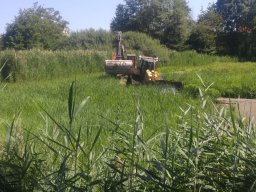 Entlandung Dorfsee 2019