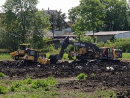 Entlandung Dorfsee 2019