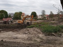 Entlandung Dorfsee 2019