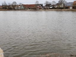 Entlandung Dorfsee 2019
