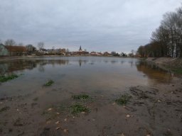 Entlandung Dorfsee 2019