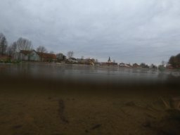 Entlandung Dorfsee 2019