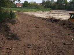 Entlandung Dorfsee 2019