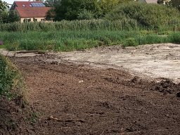 Entlandung Dorfsee 2019