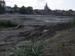 Entlandung Dorfsee 2019