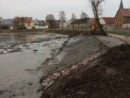 Entlandung Dorfsee 2019