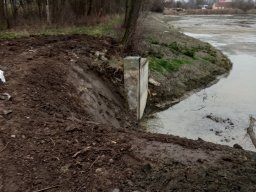 Entlandung Dorfsee 2019