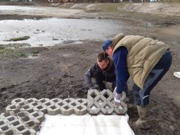Entlandung Dorfsee 2019