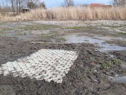 Entlandung Dorfsee 2019