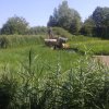 Entlandung Dorfsee 2019