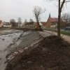 Entlandung Dorfsee 2019