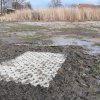 Entlandung Dorfsee 2019