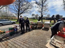 Fische grillen 15.04.2022