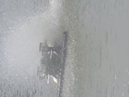 Fischsterben 09.06.2018