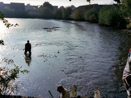 Königsangeln und Abfischen 1999