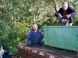 Königsangeln und Abfischen 1999