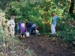 Königsangeln und Abfischen 1999