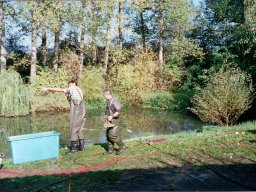 Königsangeln und Abfischen 1999