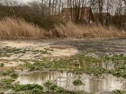 Mönchstecken 14.03.2020