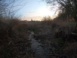 Mönchstecken 14.03.2020