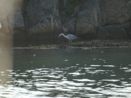Norwegen 2010 Tregde
