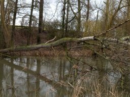 Sturm Sabine 09.02.2020